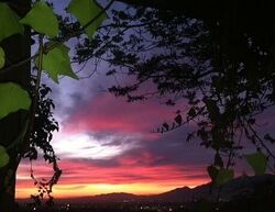 Pre-foreclosure in  S Buenos Aires Dr Covina, CA 91724