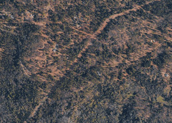 Pre-foreclosure in  HARRINGTON FLAT RD Kelseyville, CA 95451