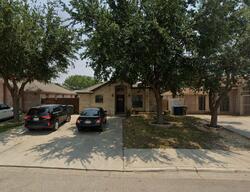 Pre-foreclosure in  SNAKE DR Laredo, TX 78045