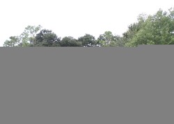 Pre-foreclosure in  DUPRE DR Jacksonville, FL 32221