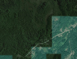  Bog Rd, Rockland ME