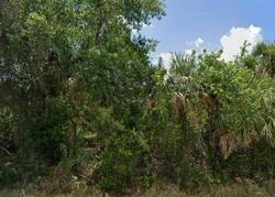 Pre-foreclosure in  Elmwood Ave Port Charlotte, FL 33948