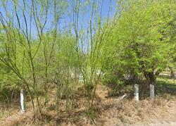 Pre-foreclosure in  Perez Rd Mission, TX 78572