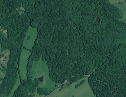 Pre-foreclosure in  Shotwell Hollow Rd Syria, VA 22743