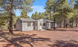 Pre-foreclosure in  E Pine Cone Dr Williams, AZ 86046