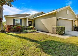 Pre-foreclosure in  Burning Bush Ter Land O Lakes, FL 34638