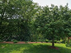 Pre-foreclosure in  Broadbridge Ave Unit 216 Stratford, CT 06614