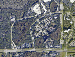  River Willow Pl, Tampa FL
