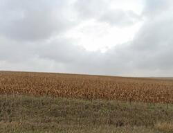 Pre-foreclosure in  16th Ave Luzerne, IA 52257