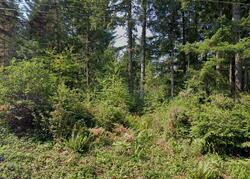 Pre-foreclosure in  Banner Rd Se Olalla, WA 98359