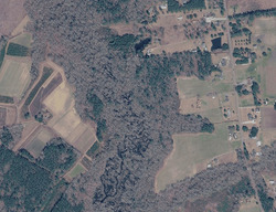 Pre-foreclosure in  Morrisville Rd Andrews, SC 29510