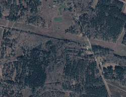  Manigo Ln, Walterboro SC