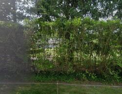 Pre-foreclosure in  Waverly Ave Medford, NY 11763