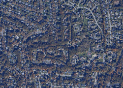 Pre-foreclosure in  Partridge Trl Coram, NY 11727