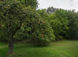 Pre-foreclosure in  Rowland Rd La Fayette, NY 13084