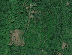 Pre-foreclosure Listing in Root Hill Rd CORNISH, NH 03745