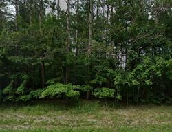  Cinder Rd, Beulah MI