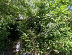 Pre-foreclosure in  Hargis Ln Jackson, KY 41339