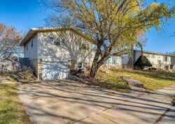 Pre-foreclosure in  Rob Roy Dr Oak Forest, IL 60452