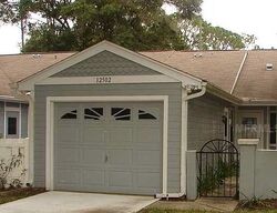 Pre-foreclosure in  Ferndale Ct Hudson, FL 34669