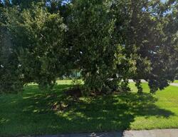  Divot Rd, Sebring FL