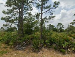  Trevino Ave, Sebring FL