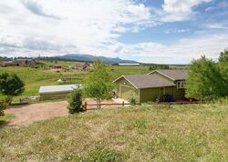 Pre-foreclosure in  Valley View Dr Divide, CO 80814