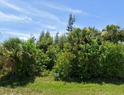 Pre-foreclosure in  Live Oak Rd Port Charlotte, FL 33981