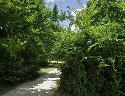 Pre-foreclosure in  Farmersville Pkwy Farmersville, TX 75442