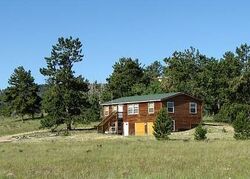  Angus Cir, Hartsel CO