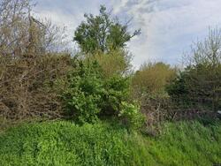 Pre-foreclosure in  W 121st Ave Cedar Lake, IN 46303