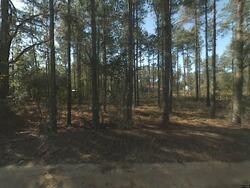  Gantt Mill Rd, Leesville SC