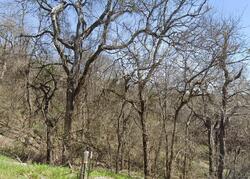 Pre-foreclosure in  Mountain View Rd Rio Vista, TX 76093
