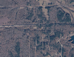 Pre-foreclosure in  Crestwood Dr Saulsbury, TN 38067