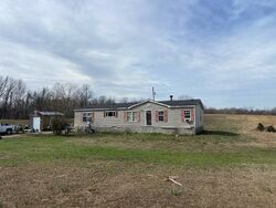  Junius Lee Rd, Ripley TN