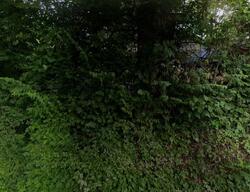 Pre-foreclosure in  Beech Grove Rd Thorn Hill, TN 37881