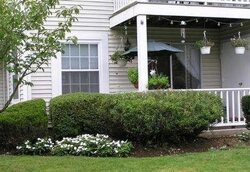 Pre-foreclosure in  FAIRVIEW CIR Middle Island, NY 11953