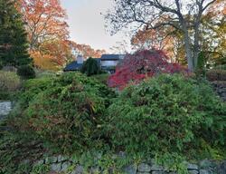 Pre-foreclosure in  HALF HOLLOW RD Huntington Station, NY 11746