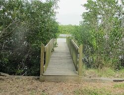 Pre-foreclosure in  DAVIS ST Gibsonton, FL 33534