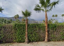 Pre-foreclosure in  N CALLE ROLPH Palm Springs, CA 92262
