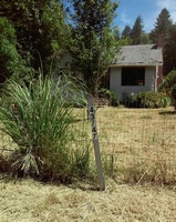  Wiley Creek Dr, Sweet Home OR