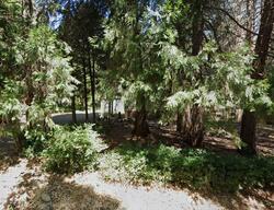  Torey Pine Rd, Magalia CA