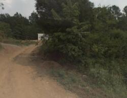  Wolf Creek Rd, Spring City TN