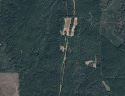  Holland Bridge Rd, Rutledge AL