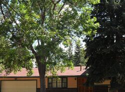Pre-foreclosure in  N Enchanted Cir Colorado Springs, CO 80917