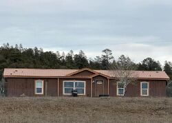 Pre-foreclosure in  Lemon Ct Pagosa Springs, CO 81147