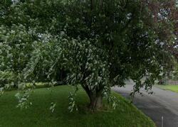  Five Mile Line Rd, Lisbon NY