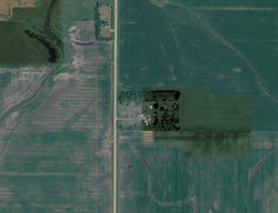  270th Ave, Campbell MN