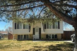 Pre-foreclosure in  S CROCUS ST Sandy, UT 84094