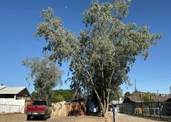 Pre-foreclosure in  N 7th Pl Phoenix, AZ 85020
